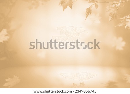 abstract autumnal fall scene in cream color shades. Autumn texture background with shadow of maple tree leaves on a wall.