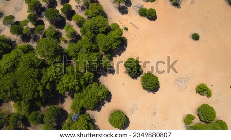 top down photo areal of beautiful forest in the sands. Turkey