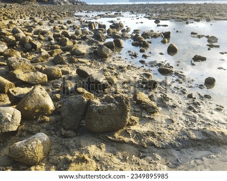 beach view at low tide