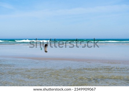 background landscape waves blue sea 
