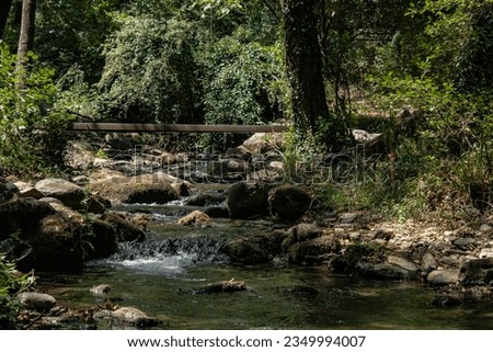 Castor river near Kastorio village in Lakonia, Greece.