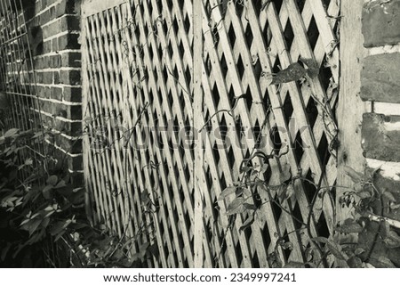 Monochrome wooden lattice used as a period ventilation shaft for a minion house in the UK.