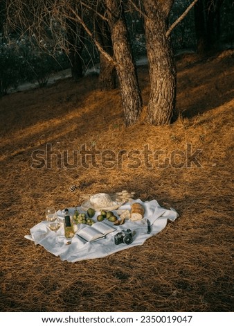Vertical shot of a Mediterranean picnic for two in a Sardinian pine forest. Wine, bread and fruit, hat, book and vintage camera. Golden light.