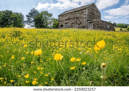 The wild flower meadows of Muker, Yorkshire Royalty-Free Stock Photo #2350023257