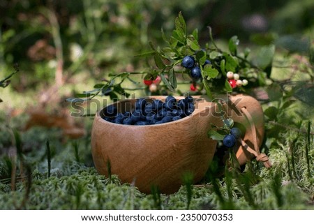 Blueberries and lingonberries in a wooden mug stands on a green fluffy moss. The season of harvesting wild berries, forest picture