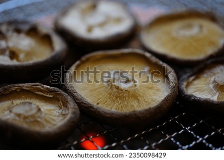 Shiitake mushrooms grilled over charcoal barbecue