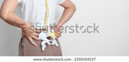 woman with human Spine anatomy model. Spinal Cord Disorder and disease, Back pain, Lumbar, Sacral pelvis, Cervical neck, Thoracic, Coccyx, Orthopedist, chiropractic, Office Syndrome and health Royalty-Free Stock Photo #2350104237