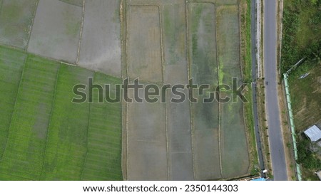 aerial view of paddy fields. Aerial view of agriculture in rice fields for cultivation in Gorontalo Province, Indonesia. Natural the texture for background
