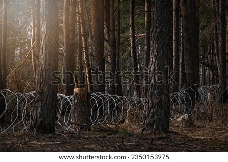 
Border wire fence trough pine forest. protecting the state's border from illegal migration and russian invasion. defending and regaining occupied territory 
 Royalty-Free Stock Photo #2350153975