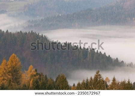 Foggy Morning in the Julian Alps, European Alps Radovljica, Slovenia Royalty-Free Stock Photo #2350172967