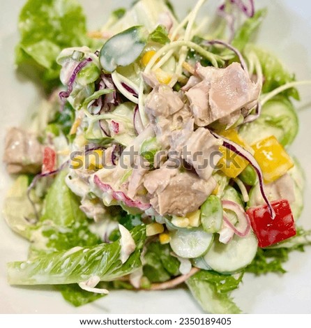 a photography of a salad with chicken and vegetables on a white plate, corn, lettuce, tomato, and chicken salad on a white plate.