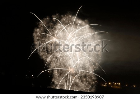 Fireworks exhibition in a summer night