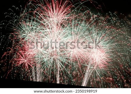 Fireworks exhibition in a summer night
