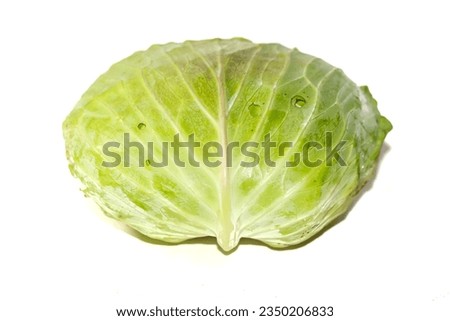 Photo of cabbage put on white background with concept isolated picture.