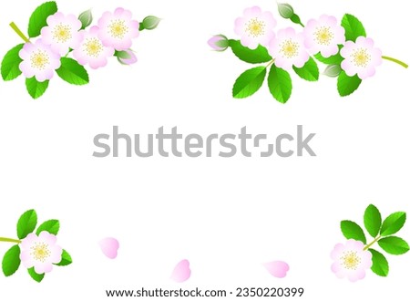 Set of illustrations of wild roses blooming in spring