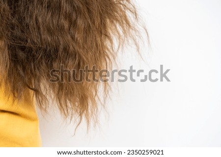 Cropped shot view of women's damaged split ended hair. Hair damage is risk for further damage and breakage. It may also look dull or frizzy and be difficult to manage. Royalty-Free Stock Photo #2350259021