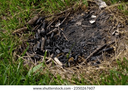 photo of blackened grass after the fire and green grass around the site