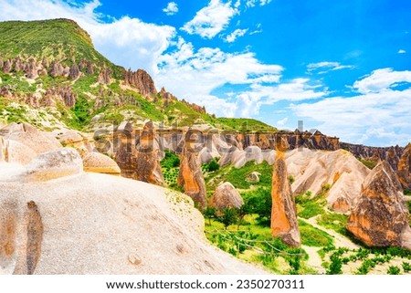 Gorgeous place in Cappadocia-Fairy Chimneys (Pasabag Valley).Turkiye.