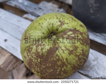 The brown color on the guava is yellowish green which means the fruit is ready to eat