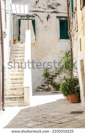 Italian patio with flowers and upstairs in the old town of Bari, Italy