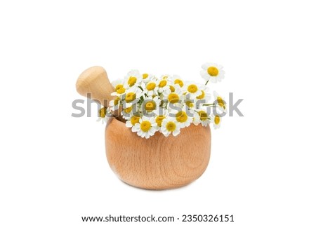 Mortar with medicinal herbs. Mortar with chamomile isolated on white background. Medicinal herbs. Alternative medicine. Design. Collage.