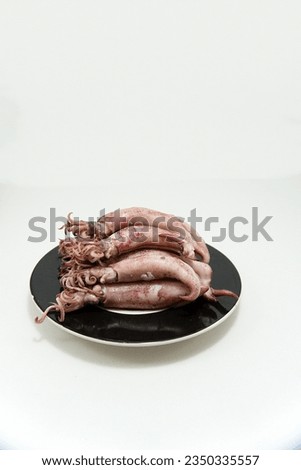 photo of squid fish served on a flat plate on a white background