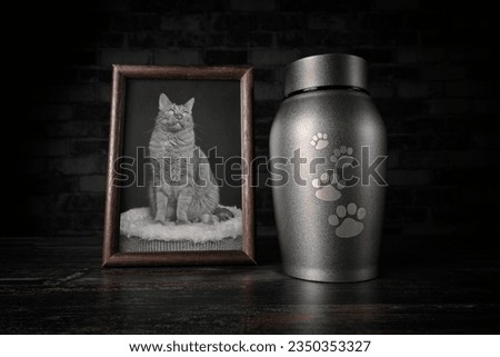 In remembrance of a pet. Decorative urn , next to a photograph of the pet.	 Royalty-Free Stock Photo #2350353327