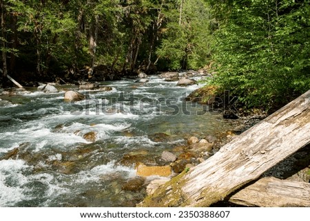 A view of the Ohanapecosh River. Royalty-Free Stock Photo #2350388607
