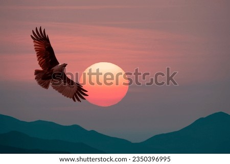 sunset at mountain range and eagle fly on the sunset