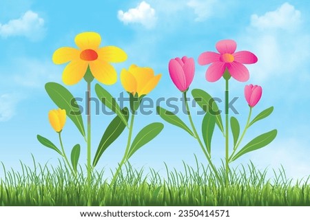 An image is created by two beautiful flowers. Cloudy blue sky background. Fresh colorful flowers are adorning the field. It can be used in publications, greeting cards, KIDs books etc.