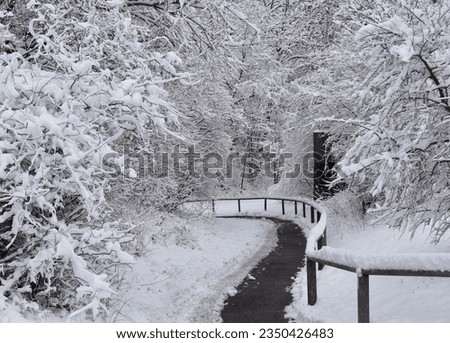 The path, partially covered in a pristine white snow, meanders through a dense forest. Its subtle curves and gentle slopes create a soothing visual rhythm, guiding the eye deeper into the picture