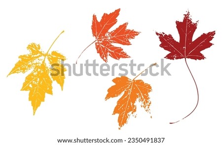 Fall or autumn maple leaves in red orange and yellow design element. Fall vector illustration of colorful png or jpg with texture grunge. Autumn clip art. 