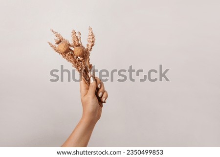 female hand holding autumn bouquet with dried flowers, light gray background with copy space