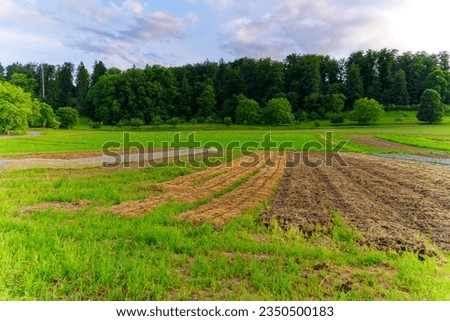 Scenic view of vegetable field with woodland in the background on a sunny evening at Swiss City of Zürich district Schwamendingen. Photo taken June 3rd 2023, Zurich, Switzerland.