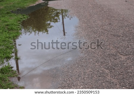 puddle on asphalt after rain