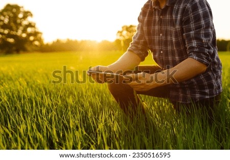 Young farm owner on a green wheat field in his hands with a digital tablet. A farmer checks the harvest in a green wheat field. Agriculture concept.