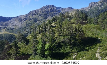 Outdoor nature and mountain landscape in the Ordino valley in Andorra, health and nature