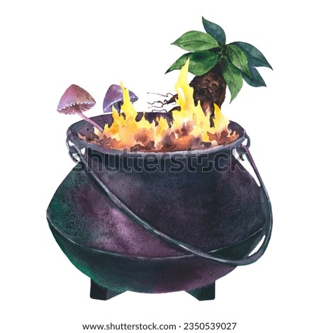 Watercolor Witch Cauldron with mandragora plant and toxic mushrooms. Hand painted illustration of Caldron with fire for Halloween clip art. Isolated sketch on white background.