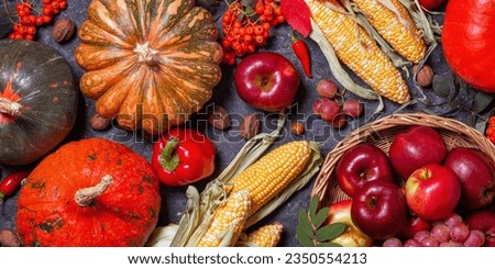 Autumn agricultural still life with fruits and vegetables. Harvest festival holiday concept. Flat lay, top view