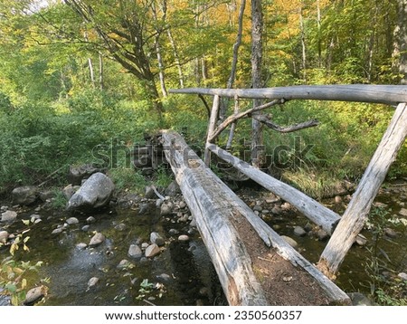 Siamese Ponds Wilderness (Adirondacks, New York)