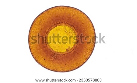 Testate amoeba species, Arcella sp. Live cell. Stacked image Royalty-Free Stock Photo #2350578803