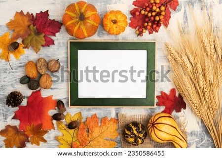 Festive autumn decor from pumpkins, leaves and ears of wheat. Concept of Thanksgiving or Halloween. Flat lay autumn composition with copy space.