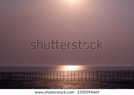 Beautiful landscape of sunset in the evening with different tone background, good for general purposes.