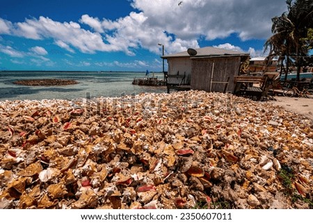 Bimini Islands, Bahamas - May 31, 2019: Discarded conch shells outside a conch stand on North Bimini island. Royalty-Free Stock Photo #2350607011