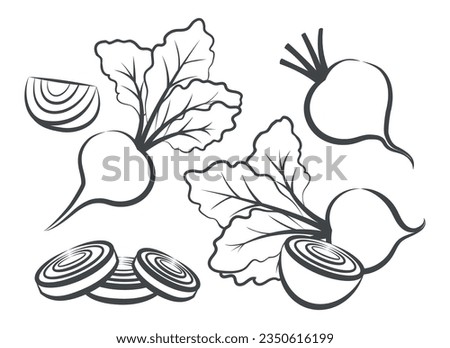 Beetroot outline sketch. Beets black icons, whole with leaves half quarter sliced fresh beet vegetables isolated vector illustration Royalty-Free Stock Photo #2350616199