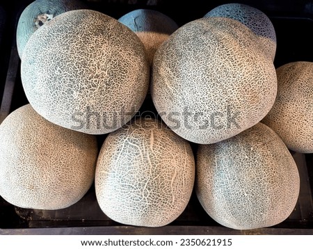 fresh tropical fruit sweet melon on super market display rack