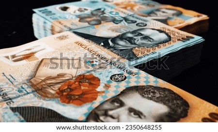 Romanian LEI Currency Banknote. RON Money European Currency