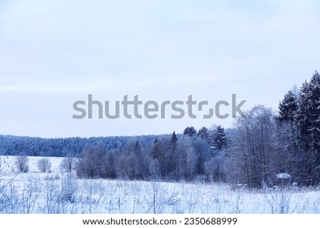 Winter snowy frosty landscape. The forest is covered snow. Frost and fog in the park.