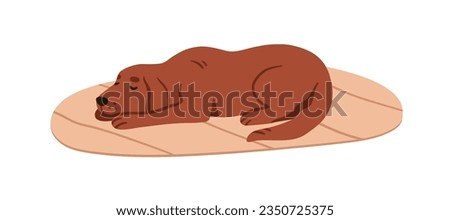 Cute dog sleeping, lying on carpet at home. Lovely adorable doggy pet asleep on floor rug, mat. Puppy, canine animal napping, dreaming, relaxing. Flat vector illustration isolated on white background Royalty-Free Stock Photo #2350725375