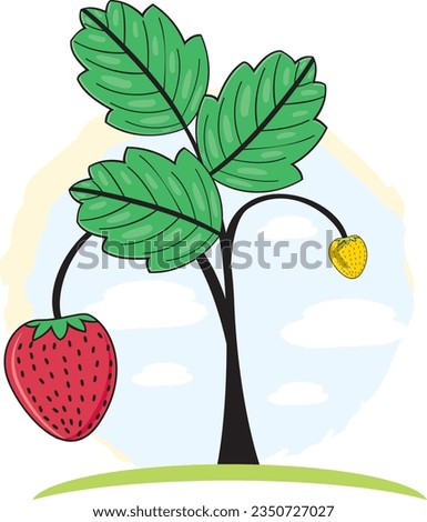 red strawberry plant with fruit and leaf vector illustration.good for mascot, logo,education,school